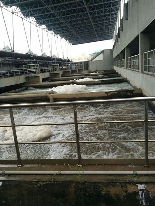 厦门筼筜草莓视频在线观看色厂2