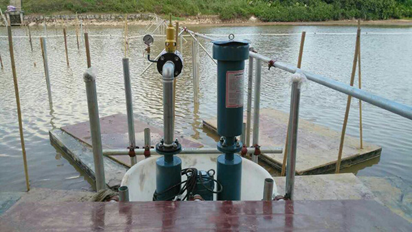 沉水式鼓草莓视频官网