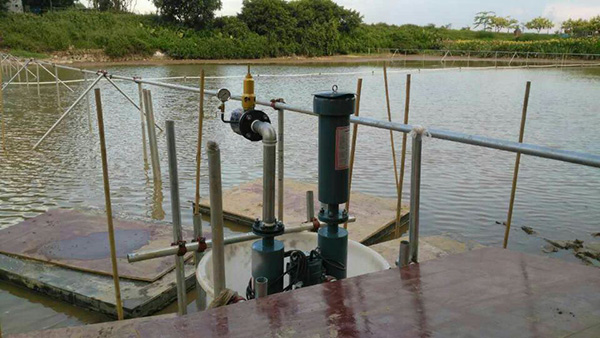 沉水式罗茨鼓草莓视频官网