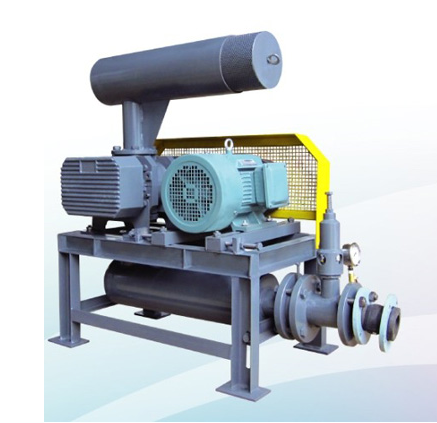 三叶罗茨鼓草莓视频官网-无线