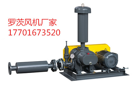 罗茨鼓草莓视频官网参数