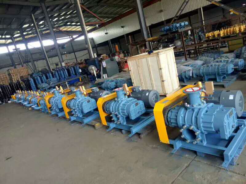 罗茨鼓草莓视频官网3