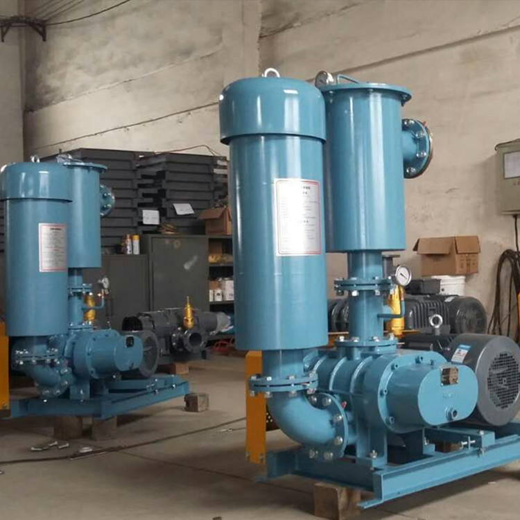 罗茨鼓草莓视频官网 750乘750 图10 罗茨鼓草莓视频官网 750乘750 图10