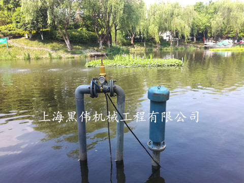河道治理沉水式鼓草莓视频官网 河道治理沉水式鼓草莓视频官网
