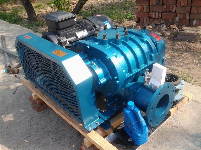 罗茨草莓视频官网在水处理行业有什么重要作用 罗茨草莓视频官网在水处理行业有什么重要作用