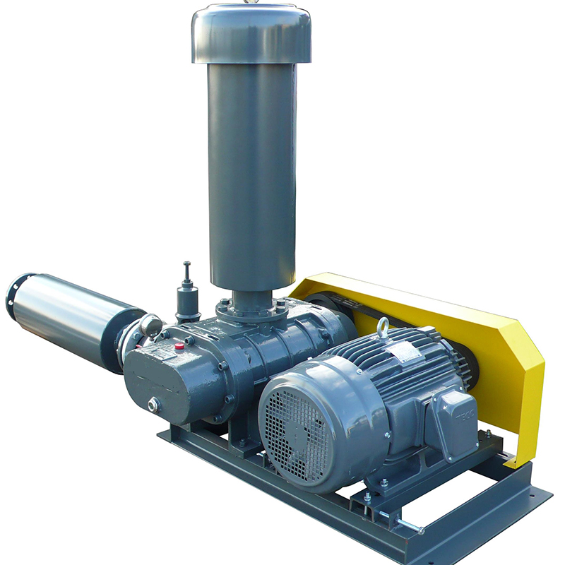 罗茨鼓草莓视频官网 36