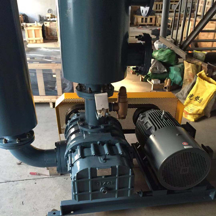 罗茨鼓草莓视频官网 750乘750 图1