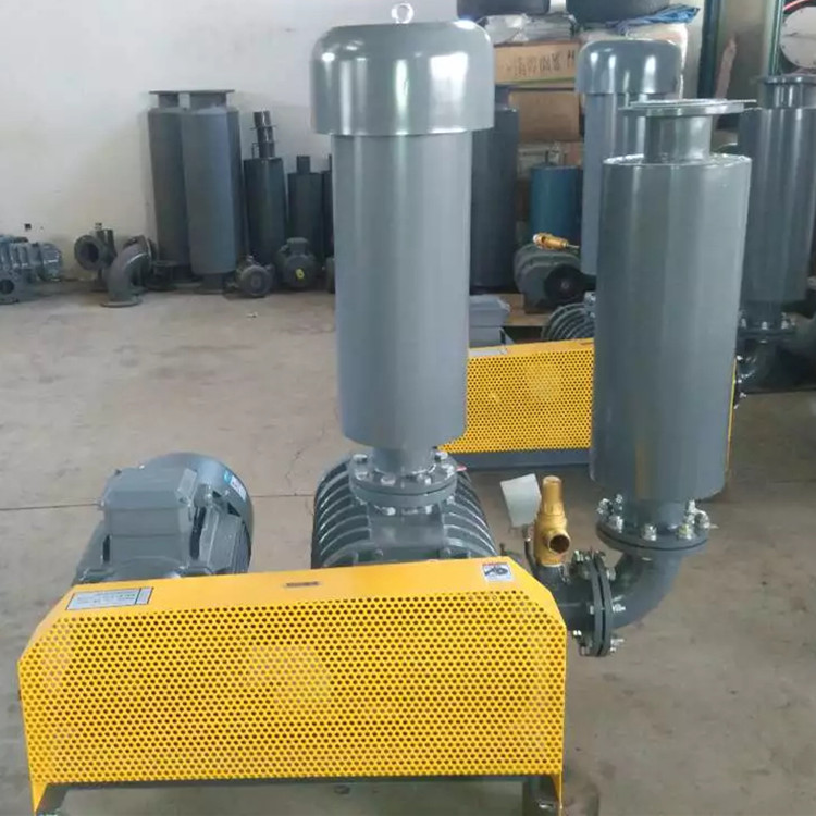 导致罗茨草莓视频官网风量不足的原因 导致罗茨草莓视频官网风量不足的原因