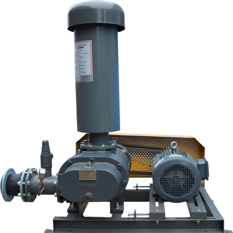 罗茨鼓草莓视频官网 750乘750 图14