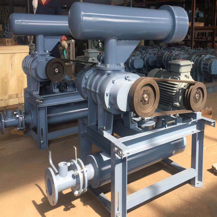 造成罗茨鼓草莓视频官网齿轮损坏的原理与处理方法 造成罗茨鼓草莓视频官网齿轮损坏的原理与处理方法