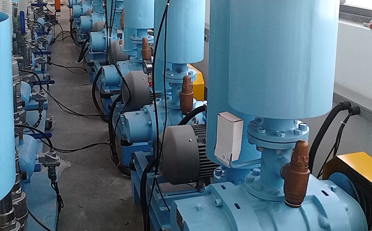 罗茨鼓草莓视频官网结构