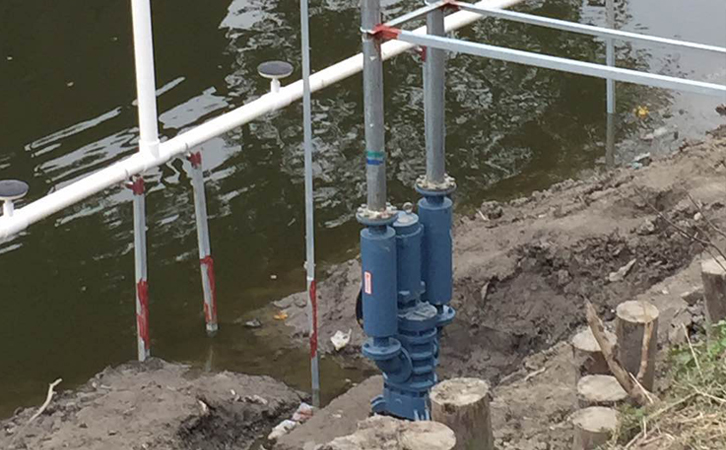 江苏省沉水草莓视频官网供应商有哪些