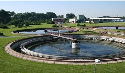 农村一体化草莓视频在线观看色