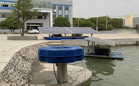 草莓色视频网站