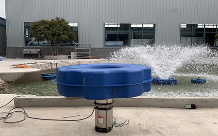 草莓色视频网站1