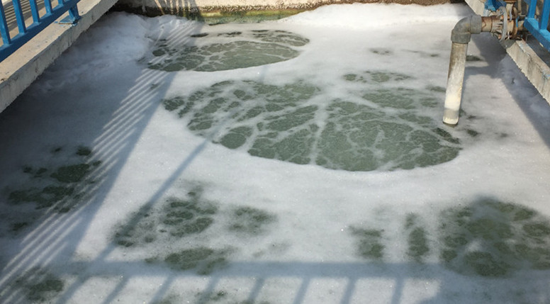沉水草莓视频官网在草莓视频在线观看色中如何提升溶解氧效率